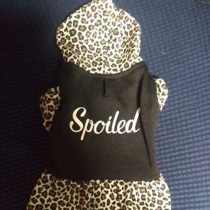 Puppy or small dog outfit